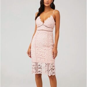 Bardot botanical lace dress